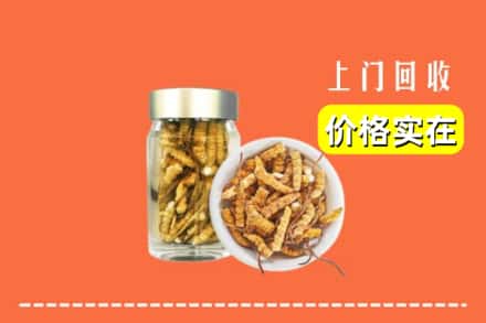 收购资讯:宣城市旌德回收散虫草