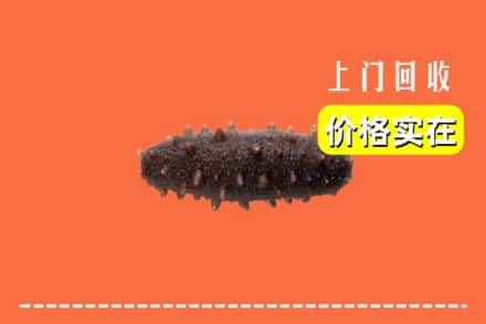 收购资讯:宣城市旌德回收海参