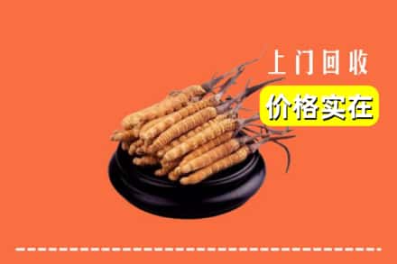 收购资讯:宣城市旌德回收冬虫夏草